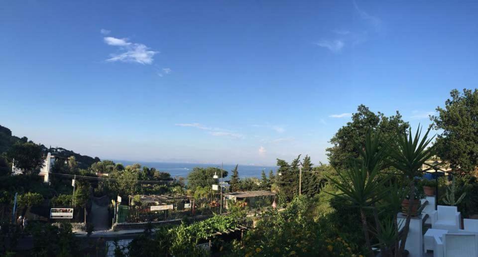 Sweet Home Lacco Ameno  Εξωτερικό φωτογραφία