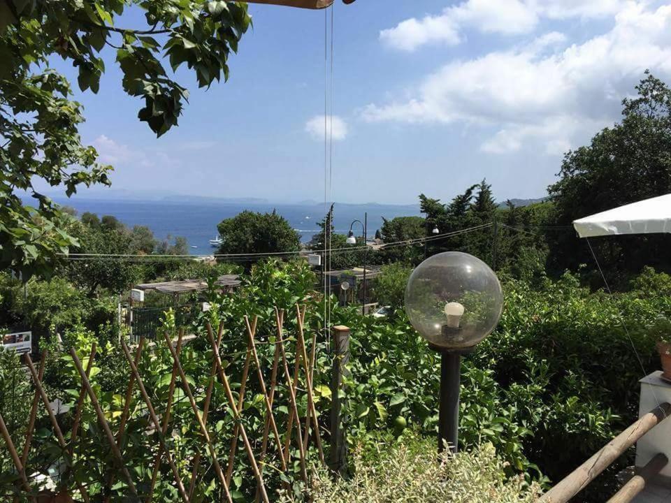 Sweet Home Lacco Ameno  Εξωτερικό φωτογραφία